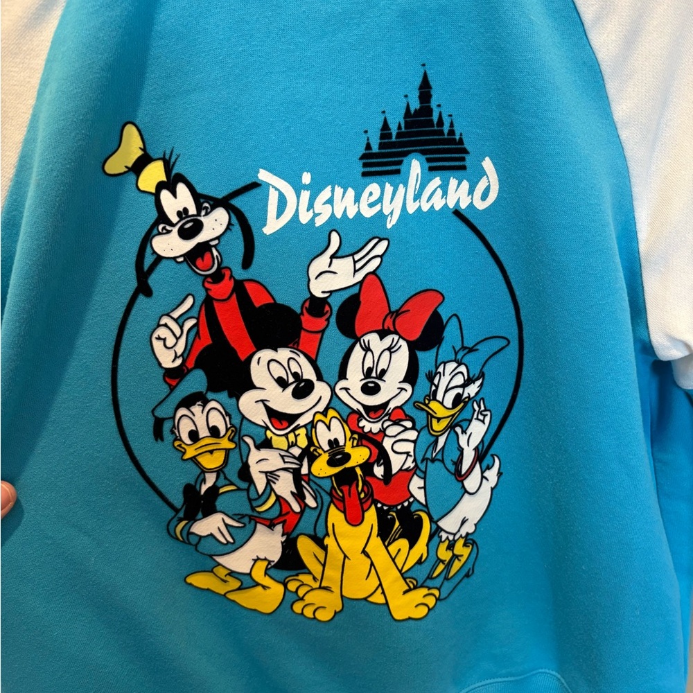 Disneyland Fab 5 Blue and White Zipper Hoodie Sweatshirt, L - Picture 11 of 15